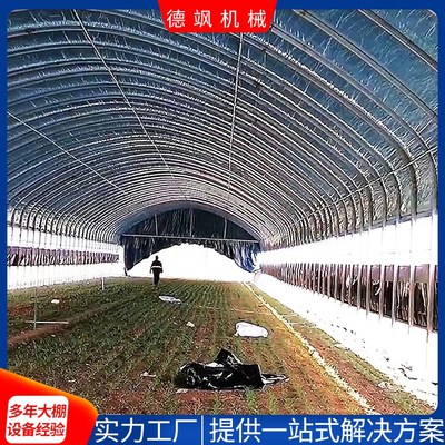 专业蔬菜大棚建设 从图片到现实的全面指南