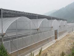 甘肃大棚阳光板供应商哪家强？兰州全达塑胶以专业品质领跑市场